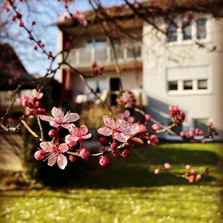 Ferienwohnung Im Aalbachtal - Uettingen Bei Wuerzburg Luaran gambar