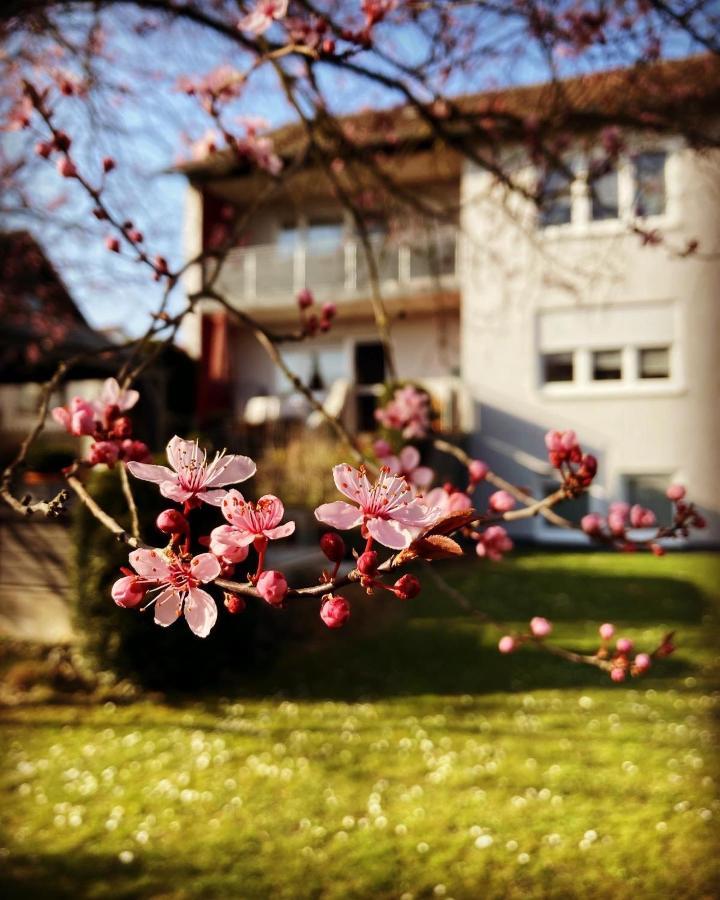 Ferienwohnung Im Aalbachtal - Uettingen Bei Wuerzburg Luaran gambar